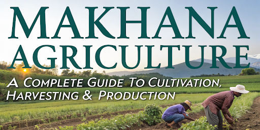 makhana-agriculture